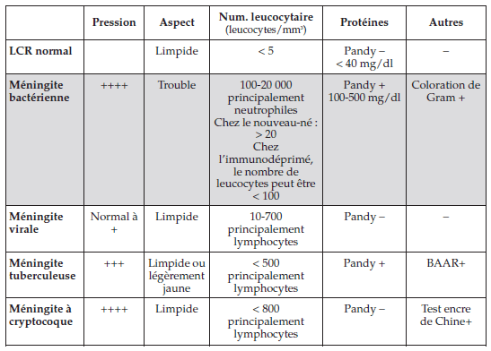 Méningite Bactérienne Actualités Médicales Quotidienne Actualité Santé Actualités 8502